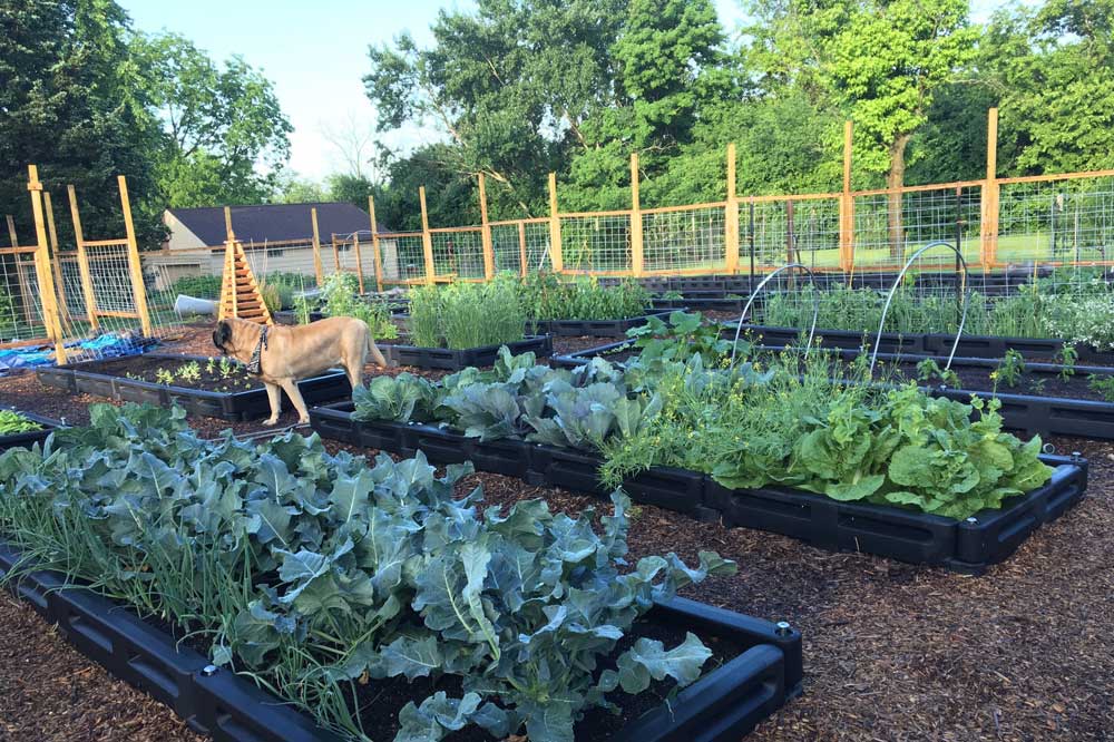 Border-Timber-Raised-Garden-Beds-with-Weed-Mat-12.jpg