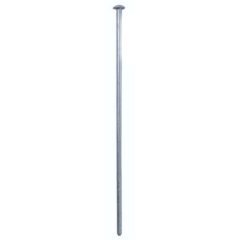 Galvanized Steel Spike