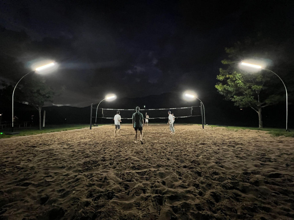 Dominator ALTA Light