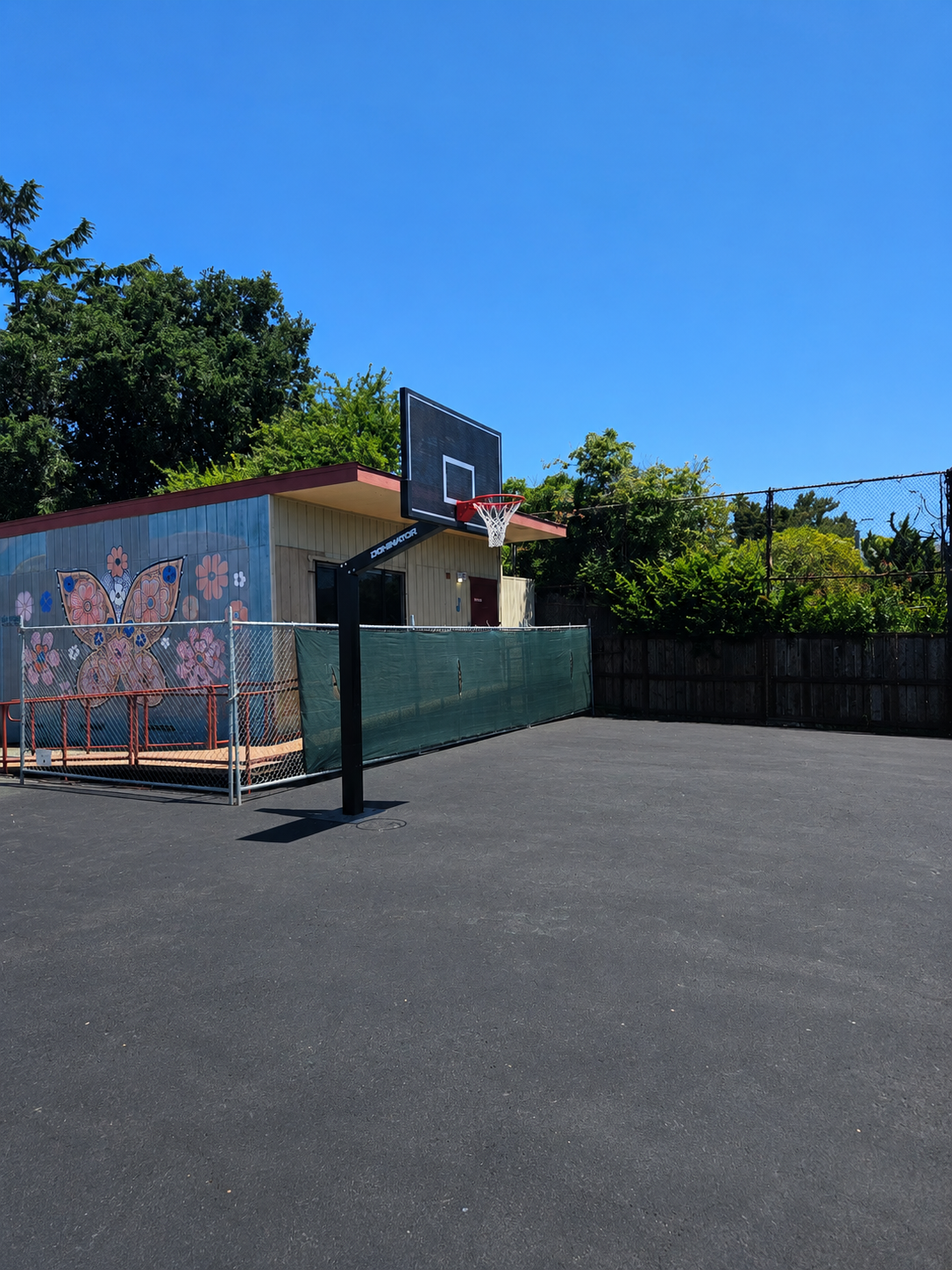 Dominator 72″ Fixed Height Hoop