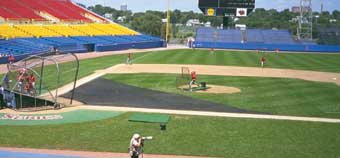 Douglas-26512-Infield-Grass-Protector-64-x-20-x-24-Dark-Green-Standard.jpg