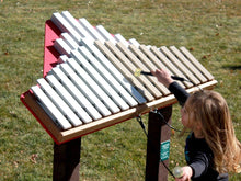 Duet-18-Note-Xylophone-Marimba.jpg