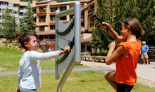 Harp.jpg