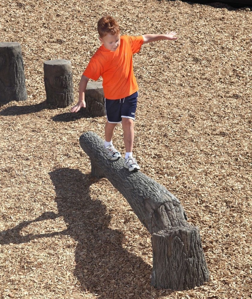 NatureROCKS-8-foot-Fallen-Tree-Balance-Beam_2.jpg
