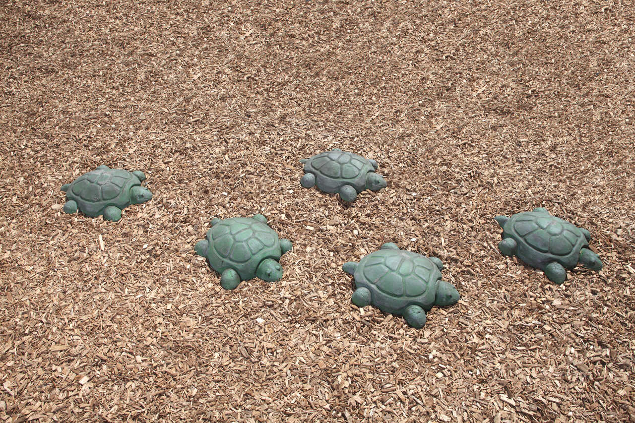 NatureROCKS-Stepping-Turtles-Set-of-5-Turtles.jpg