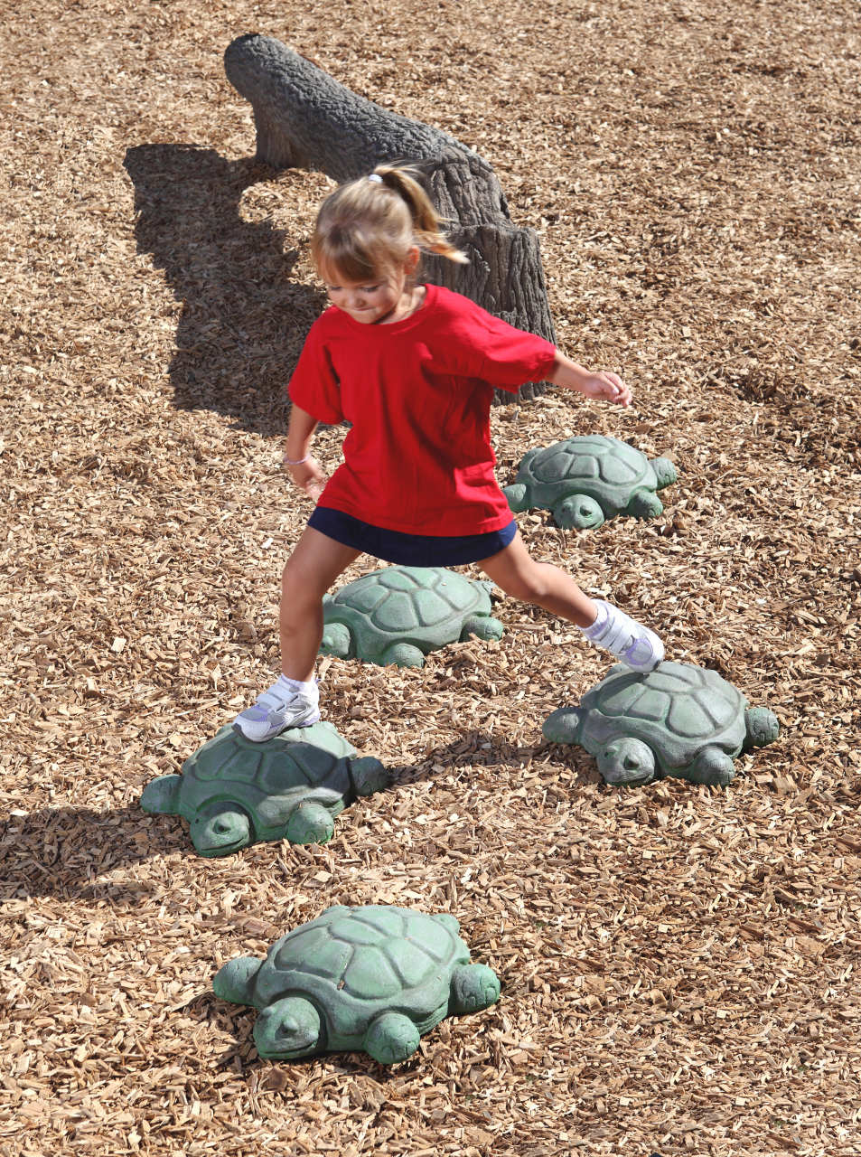 NatureROCKS-Stepping-Turtles-Set-of-5-Turtles_1.jpg