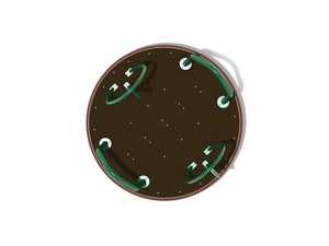 Fitness Brown/Rainforest Green