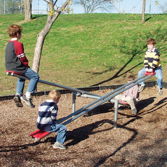 See-Saw-2-4-6-8-or-12-seat.jpg