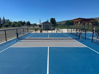 Dominator Surface Mount Pickleball Posts & Net Systems