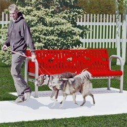 b78_ca_6_sp_tr_dog_park.jpg