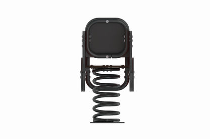 Cemer Springers DGCS 1059A Spring Rider