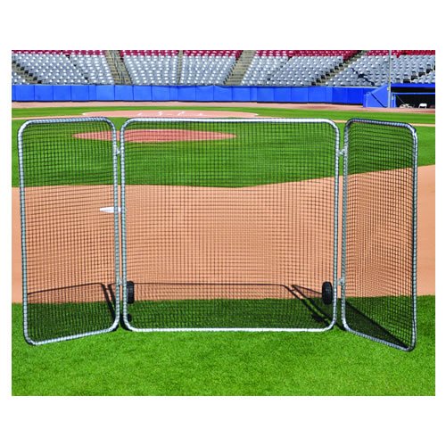 fenceBat.jpg