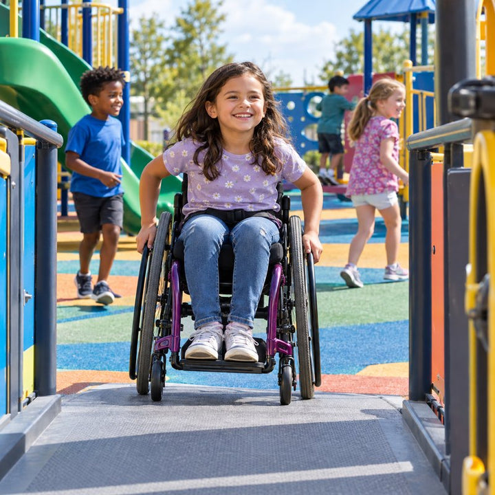 Fully Accessible Play Systems category image
