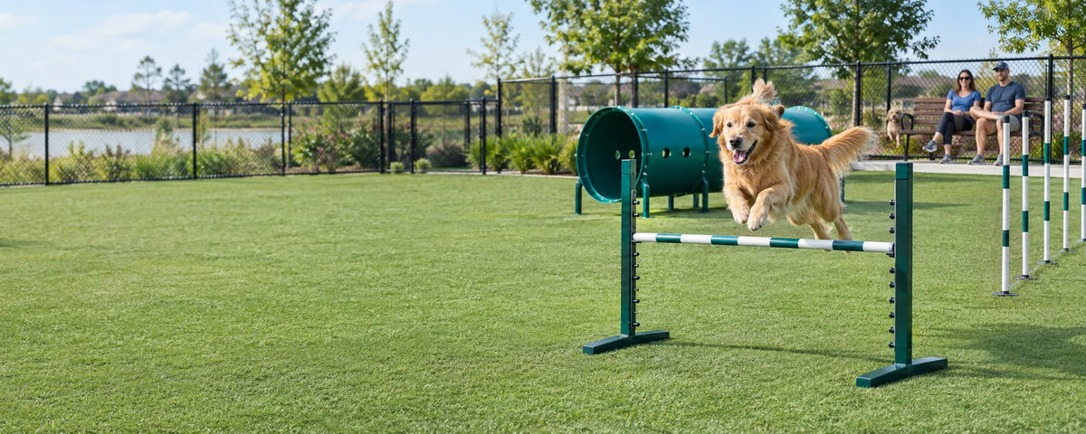 promo-dogpark
