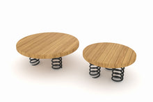 Cemer Robinia Group RGAS 401 Play Structure