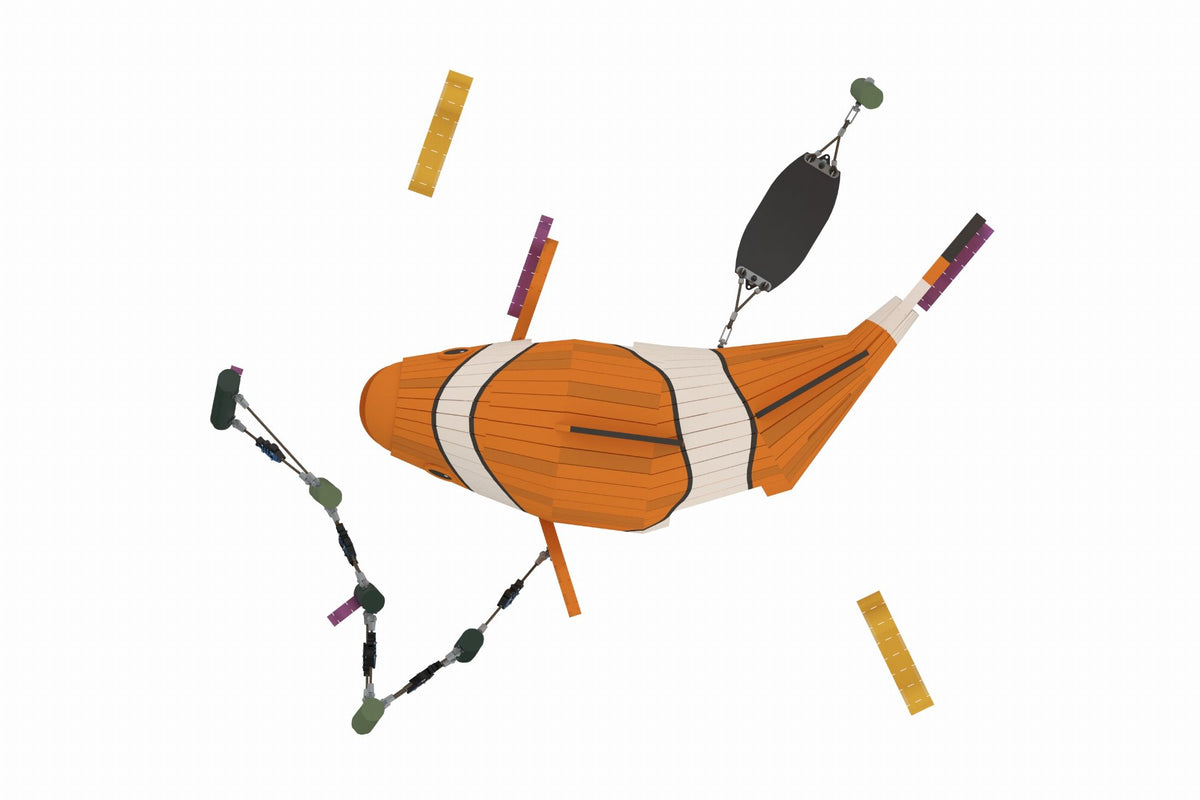 Cemer RGSS 901 'Clown Fish' Play Structure