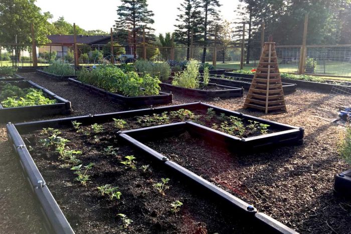 Border Timber Raised Garden Beds with Weed Mat - Image 12