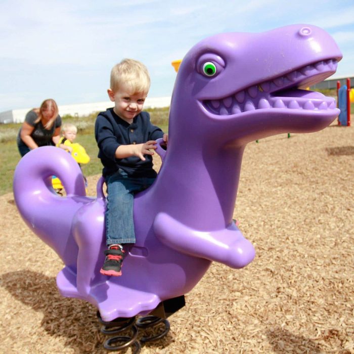 Charlie Chomper Fun Bounce