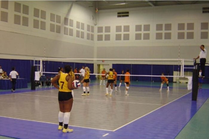 Commercial Game Court 10