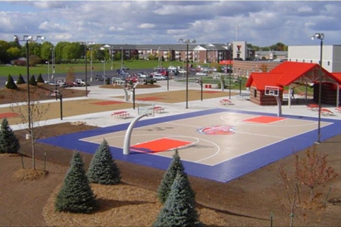 Commercial Game Court 2