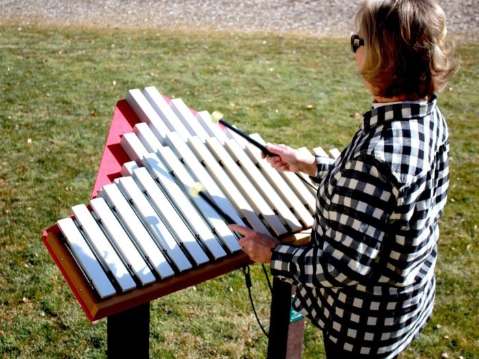 Duet - 18 Note Xylophone - Marimba - Image 3