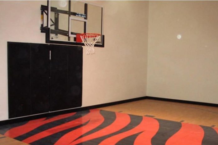 Indoor Game Court 3