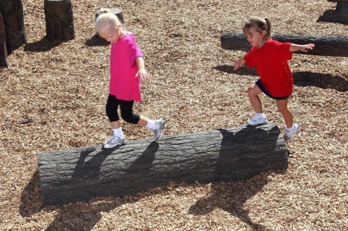 NatureROCKS Half Log Balance Beam (Choose 4 or 6-foot length)
