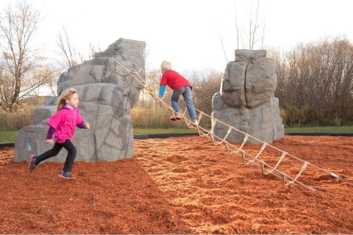 NatureROCKS Mount McKinley Netted Boulder