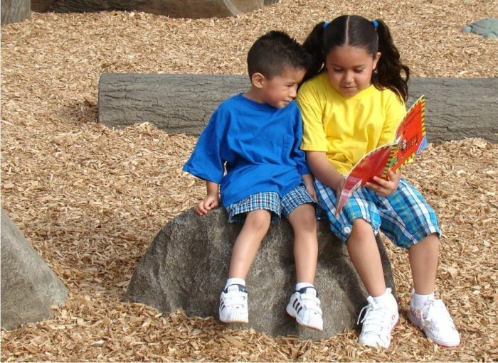 NatureROCKS Preschool Age (2-5 years) Stepping Boulders (Set of 3 with 3 small height)