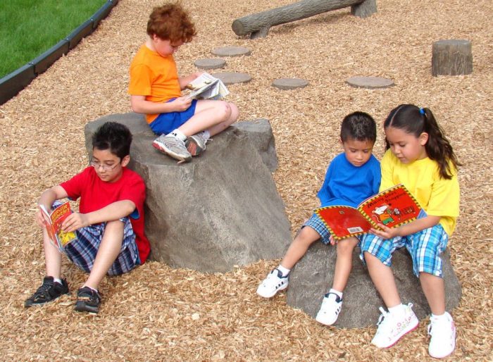 NatureROCKS School Age (5-12 years) Stepping Boulders (Set of 3 with 2 small, 1 large height)