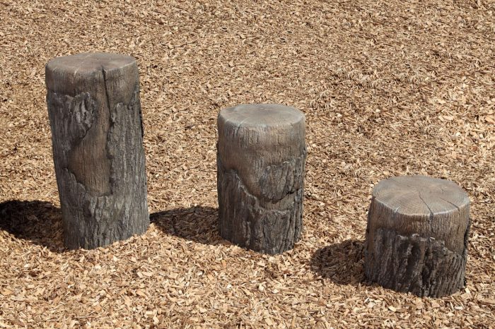 NatureROCKS School Age (5-12 years) Tree Stumps (Set of 3 with 1 small, 1 medium, 1 large height)