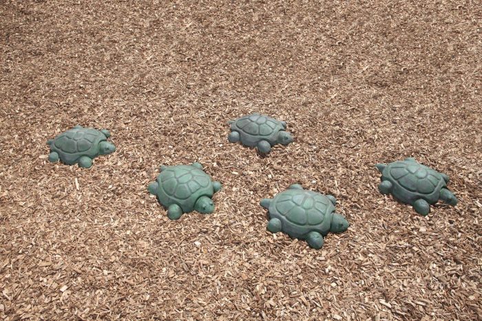 NatureROCKS Stepping Turtles (Set of 5 Turtles)