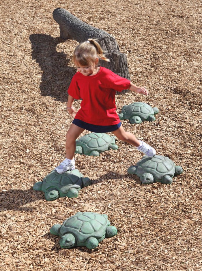 NatureROCKS Stepping Turtles (Set of 5 Turtles) - Image 2
