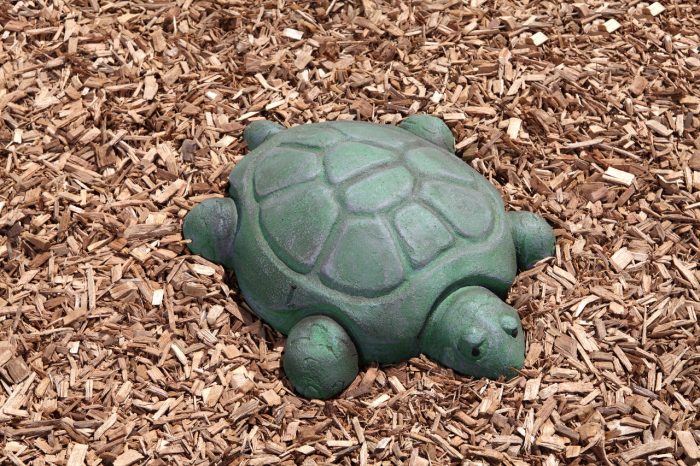 NatureROCKS Stepping Turtles (Set of 5 Turtles) - Image 4