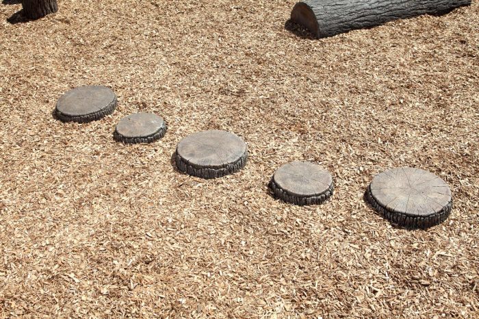 NatureROCKS Tree Slices Walking Path (Set of 5 Slices) - Image 2