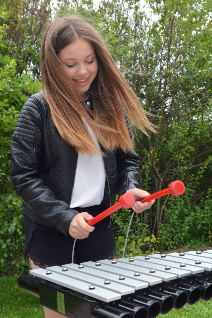 Percussion Play Duo - Image 6