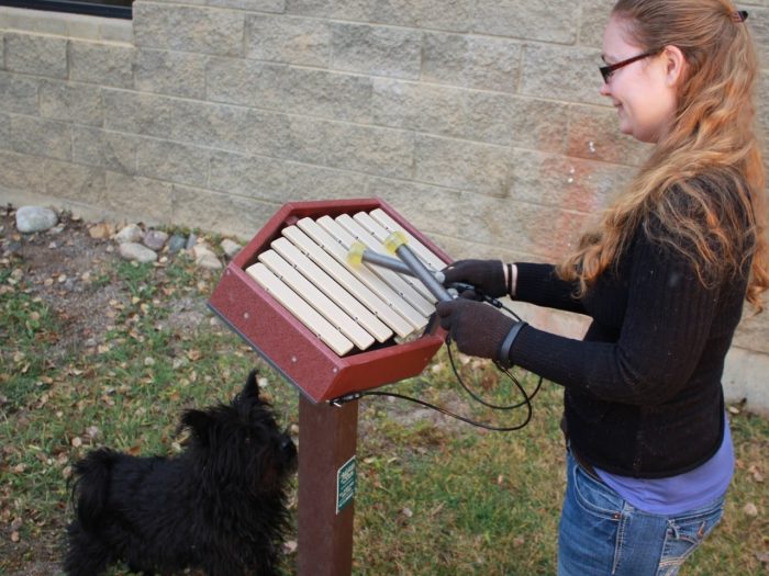 Rhythm - 9 Note Marimba - Image 3