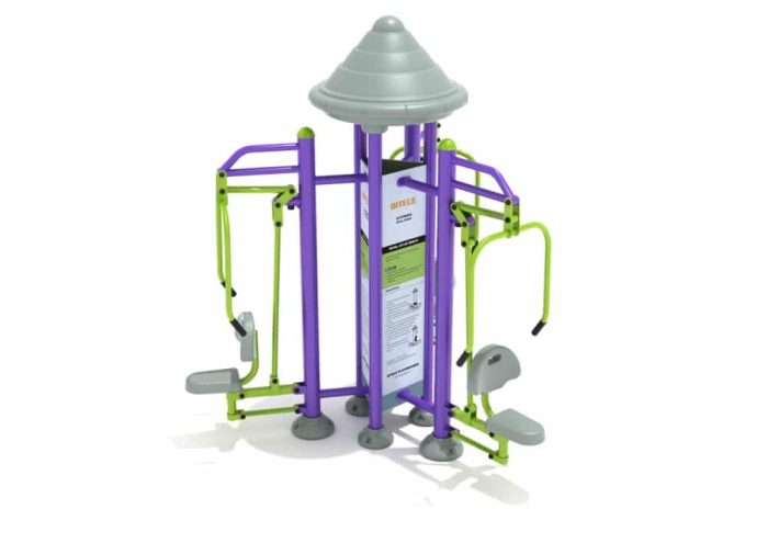 Royal Triple Station Chest Press