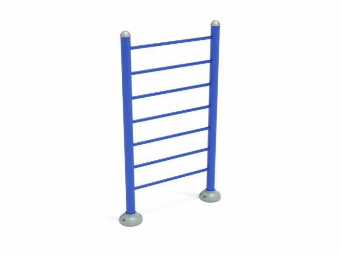 Single Vertical Ladder