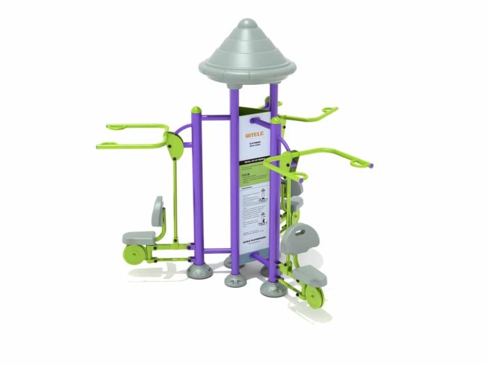 Triple Royal Lat Pull Down