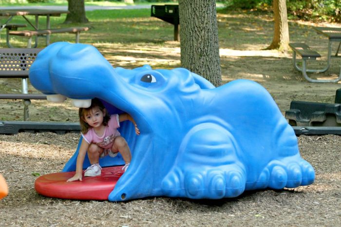 Harry the Hippo
