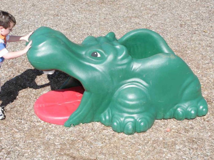 Harry the Hippo - Image 5