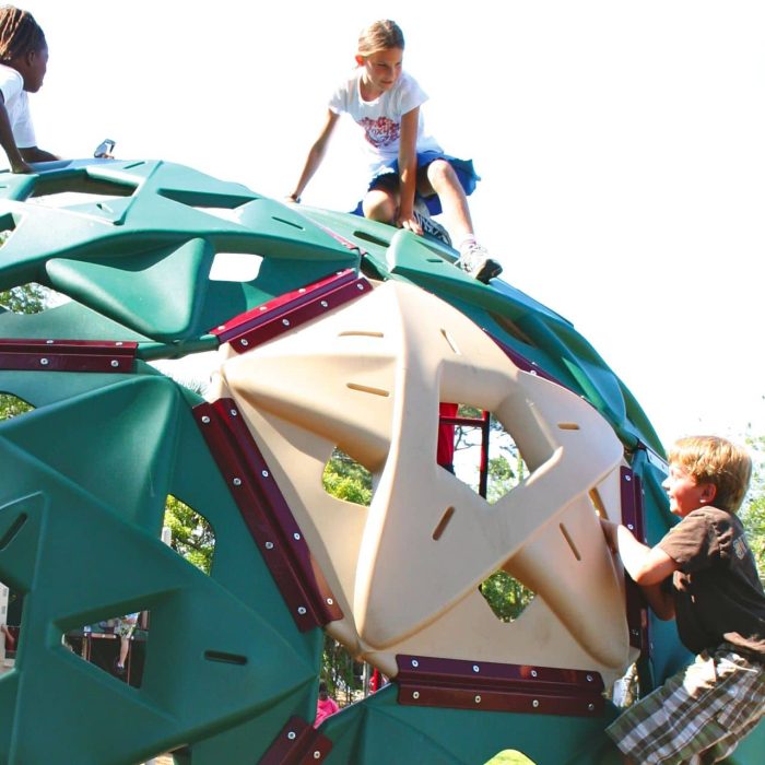 Triple Hexagon Plastic Climber - Image 2